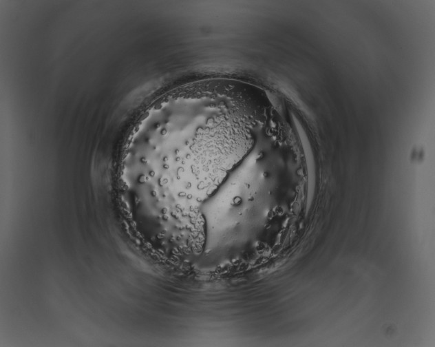 X0000091240068200708231727