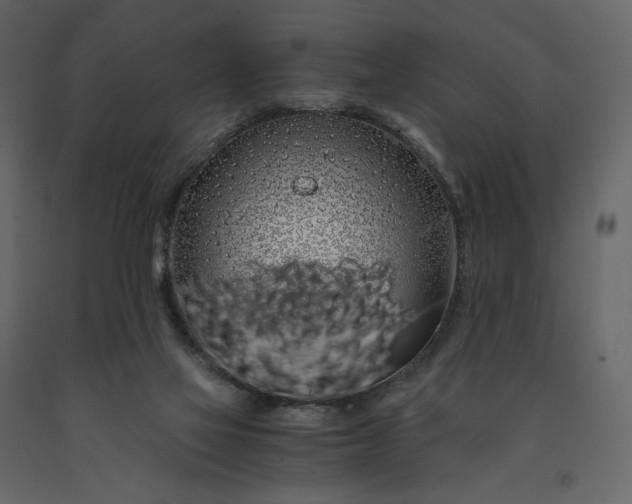 X0000091240069200708231727