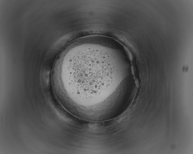 X0000091240070200708231727
