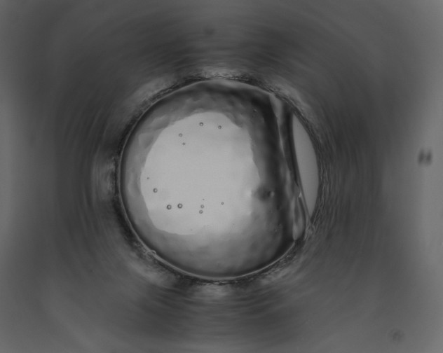 X0000091240071200708231727