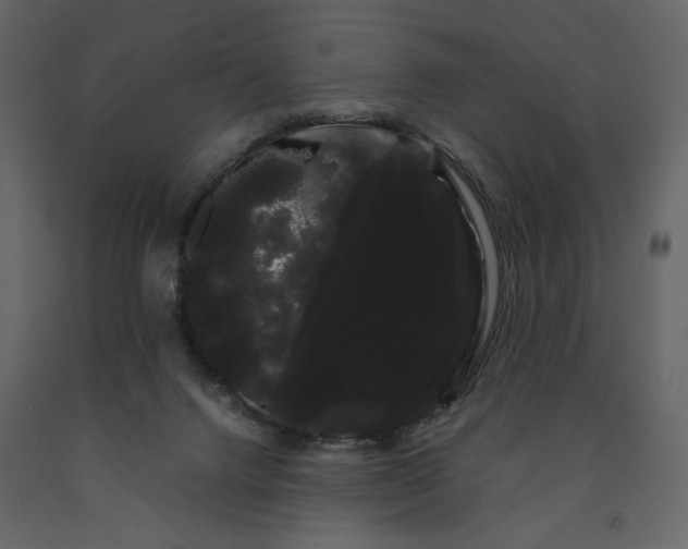 X0000091240072200708231727