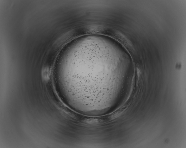 X0000091240075200708231727