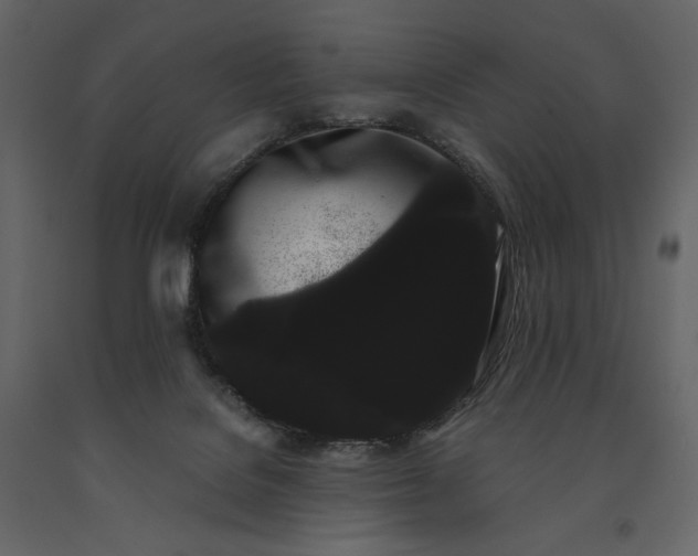 X0000091240076200708231727