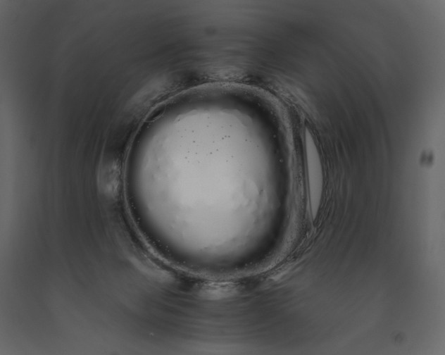 X0000091240077200708231727