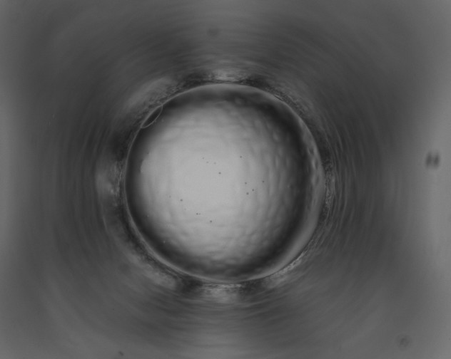 X0000091240078200708231727
