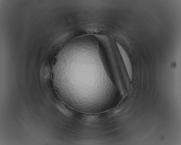 X0000091240081200708231727
