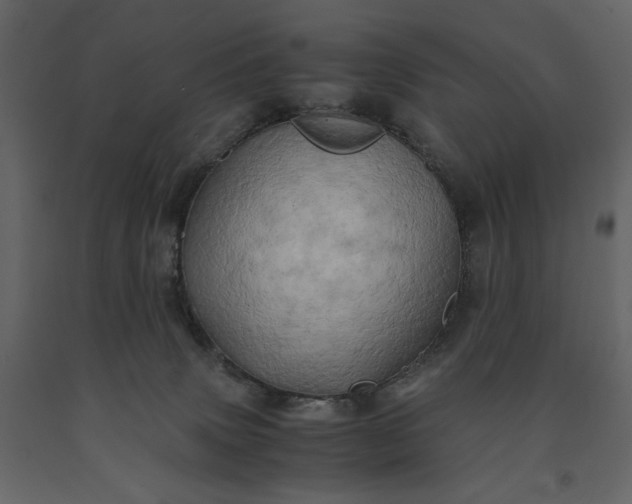 X0000091240083200708231727