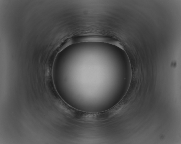 X0000091240084200708231727