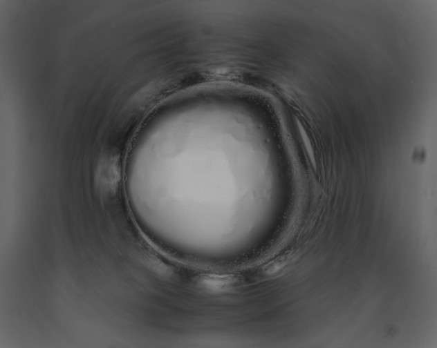 X0000091240085200708231727