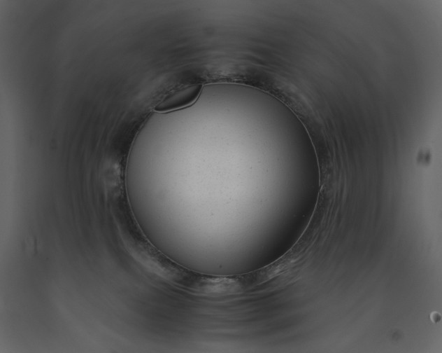 X0000091240087200708231727