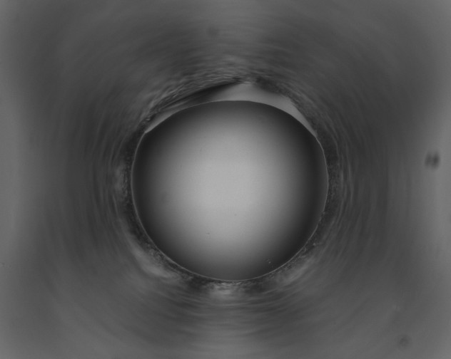 X0000091240088200708231727