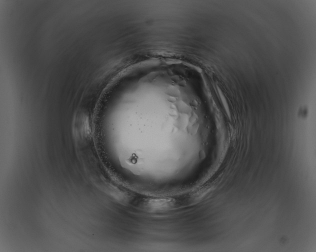 X0000091240089200708231727