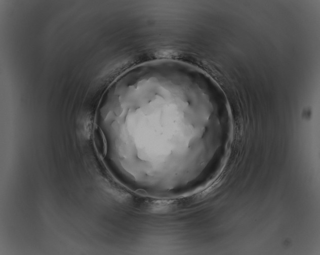 X0000091240090200708231727