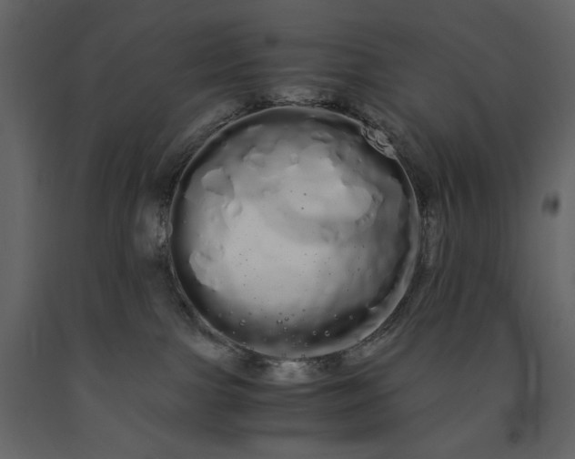 X0000091240091200708231727