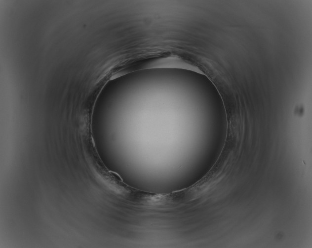 X0000091240092200708231727