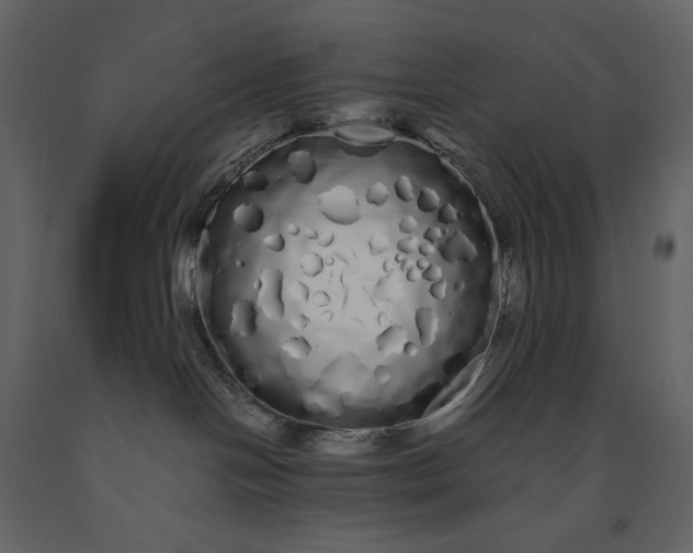 X0000091240094200708231727