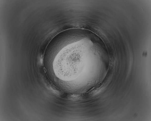 X0000091240095200708231727