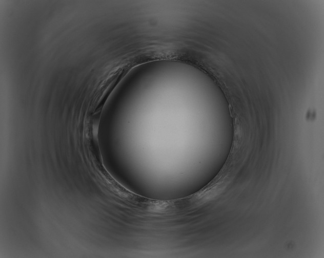X0000091240096200708231727