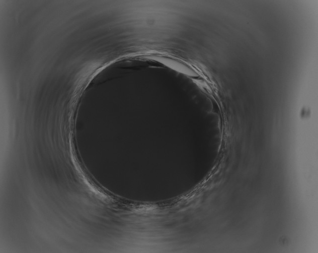 X0000091240097200708231726