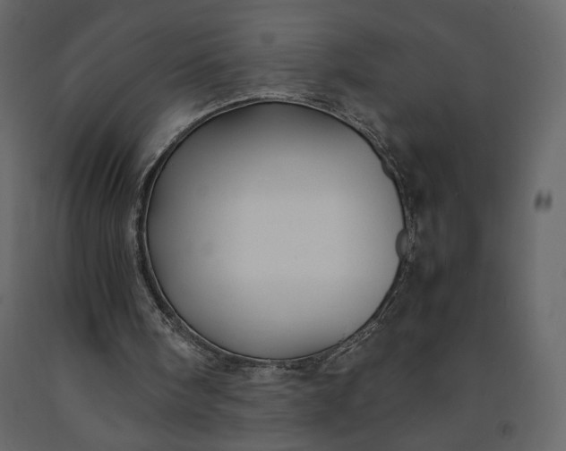 X0000091240098200708231726