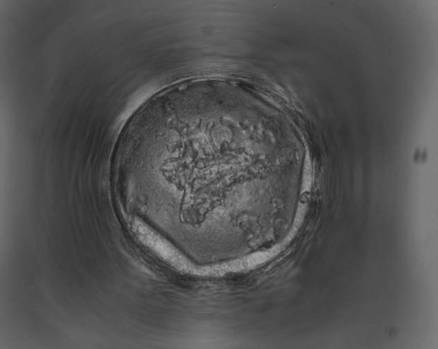 X0000091240099200708231726