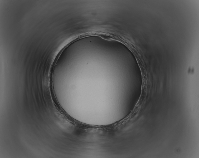 X0000091240100200708231726
