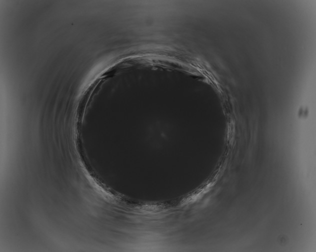 X0000091240101200708231726
