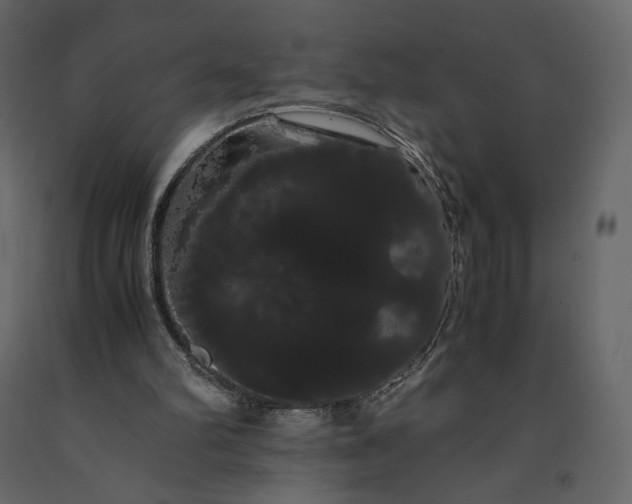 X0000091240102200708231726