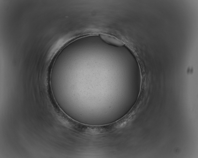 X0000091240103200708231726