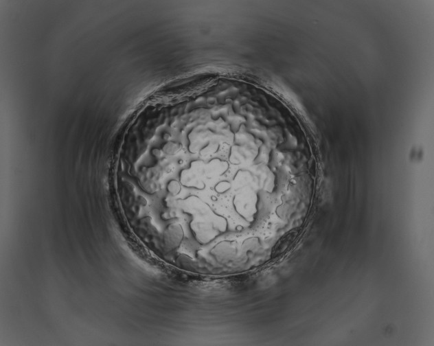 X0000091240106200708231726