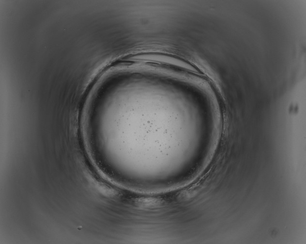 X0000091240107200708231726