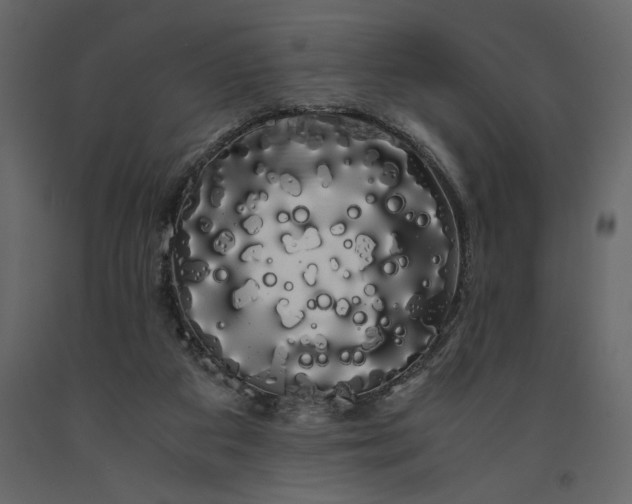 X0000091240113200708231726