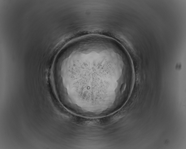 X0000091240115200708231726
