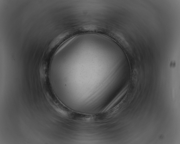 X0000091240116200708231726
