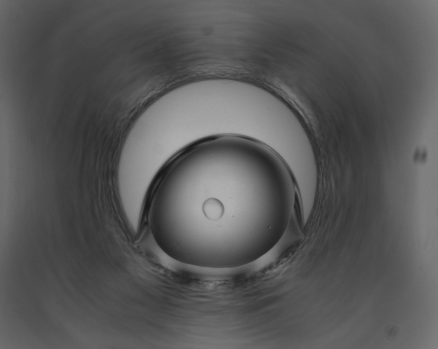 X0000091240117200708231726