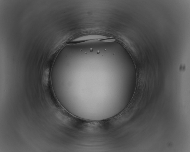 X0000091240118200708231726
