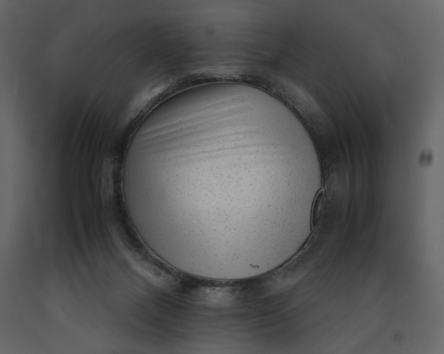 X0000091240120200708231726