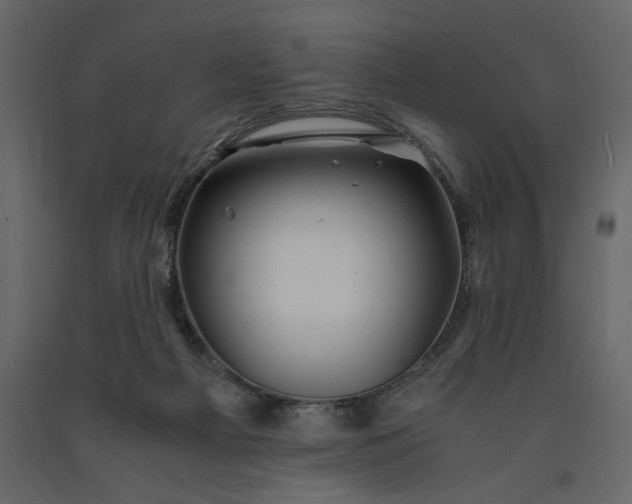 X0000091240121200708231726