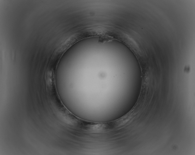 X0000091240122200708231726