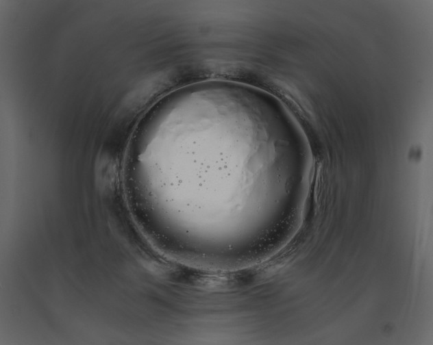 X0000091240123200708231726