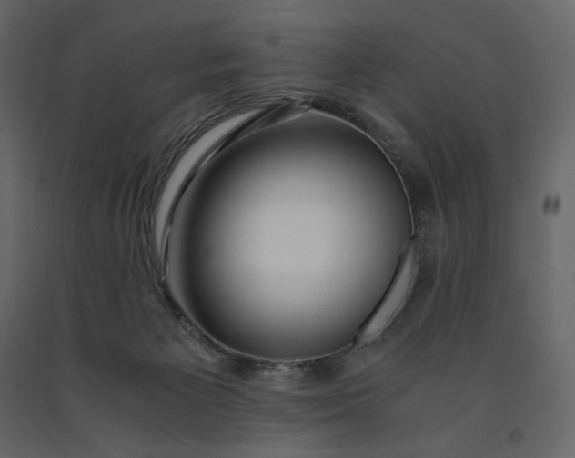 X0000091240125200708231726