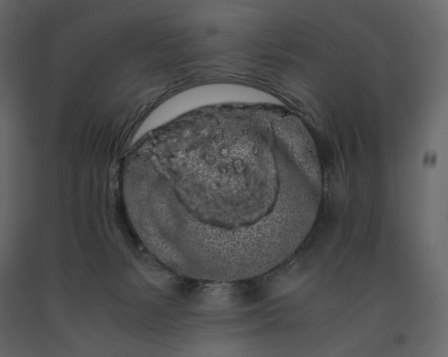 X0000091240127200708231726