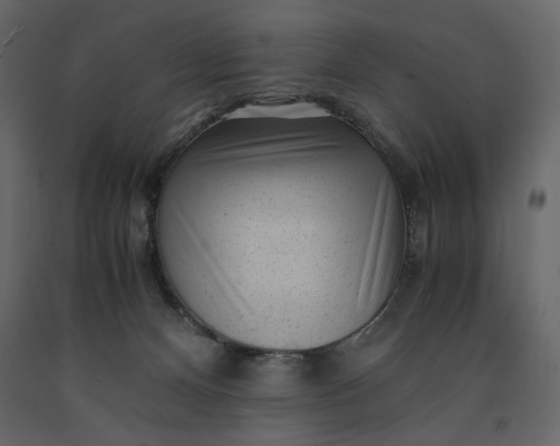 X0000091240128200708231726