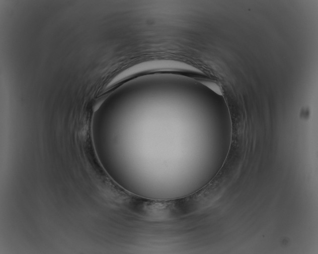 X0000091240129200708231726