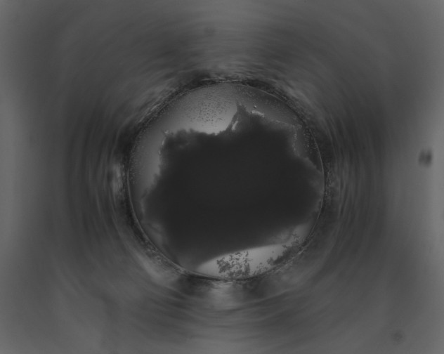 X0000091240130200708231726