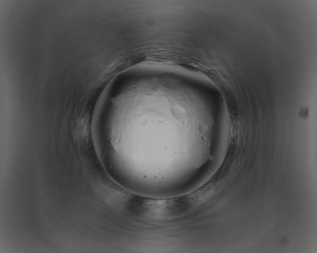 X0000091240131200708231726