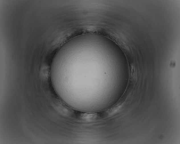 X0000091240135200708231726