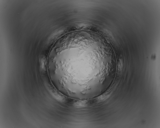 X0000091240138200708231726