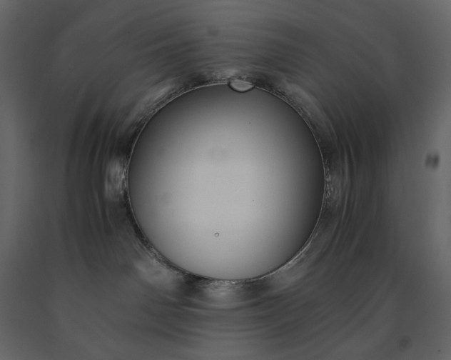 X0000091240142200708231726