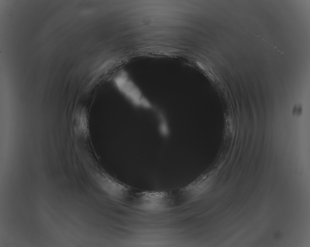 X0000091240143200708231726